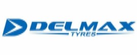 Delmax logo